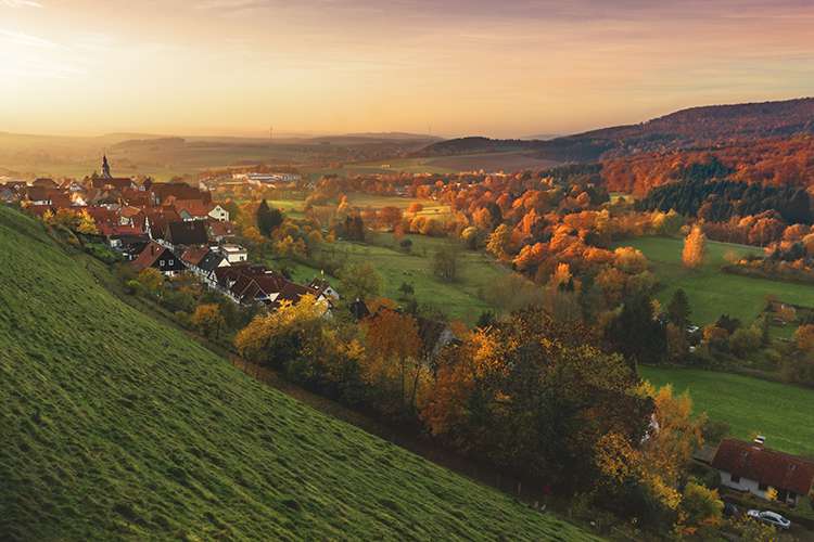 Bonjour tout le monde !